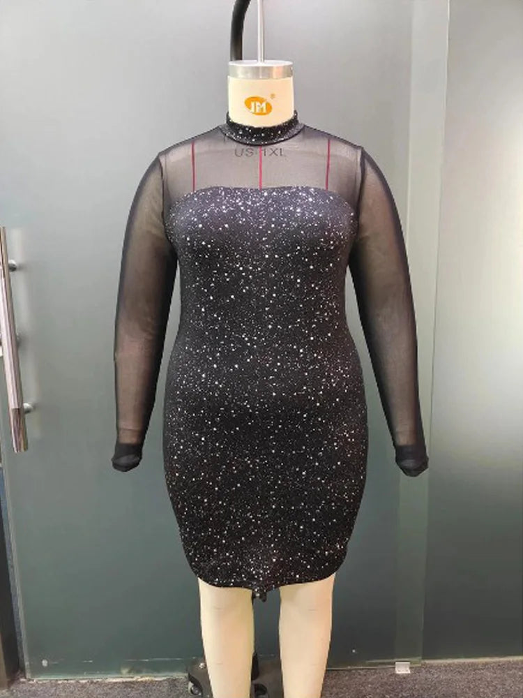Glitter Mesh Bodycon Dress